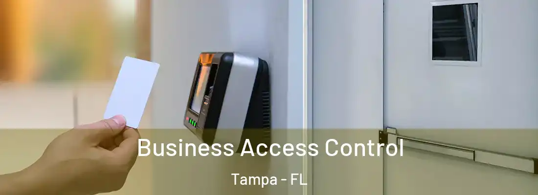 Business Access Control Tampa - FL