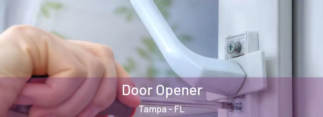 Door Opener Tampa - FL