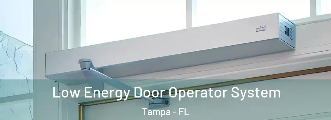 Low Energy Door Operator System Tampa - FL