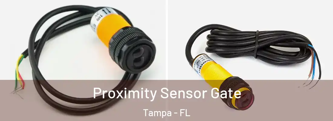 Proximity Sensor Gate Tampa - FL